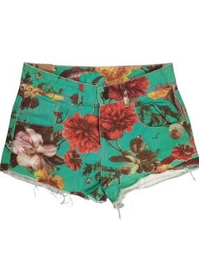 Brazilian Turquoise Floral Denim Cut-off Shortie Jean Shorts SZ 29